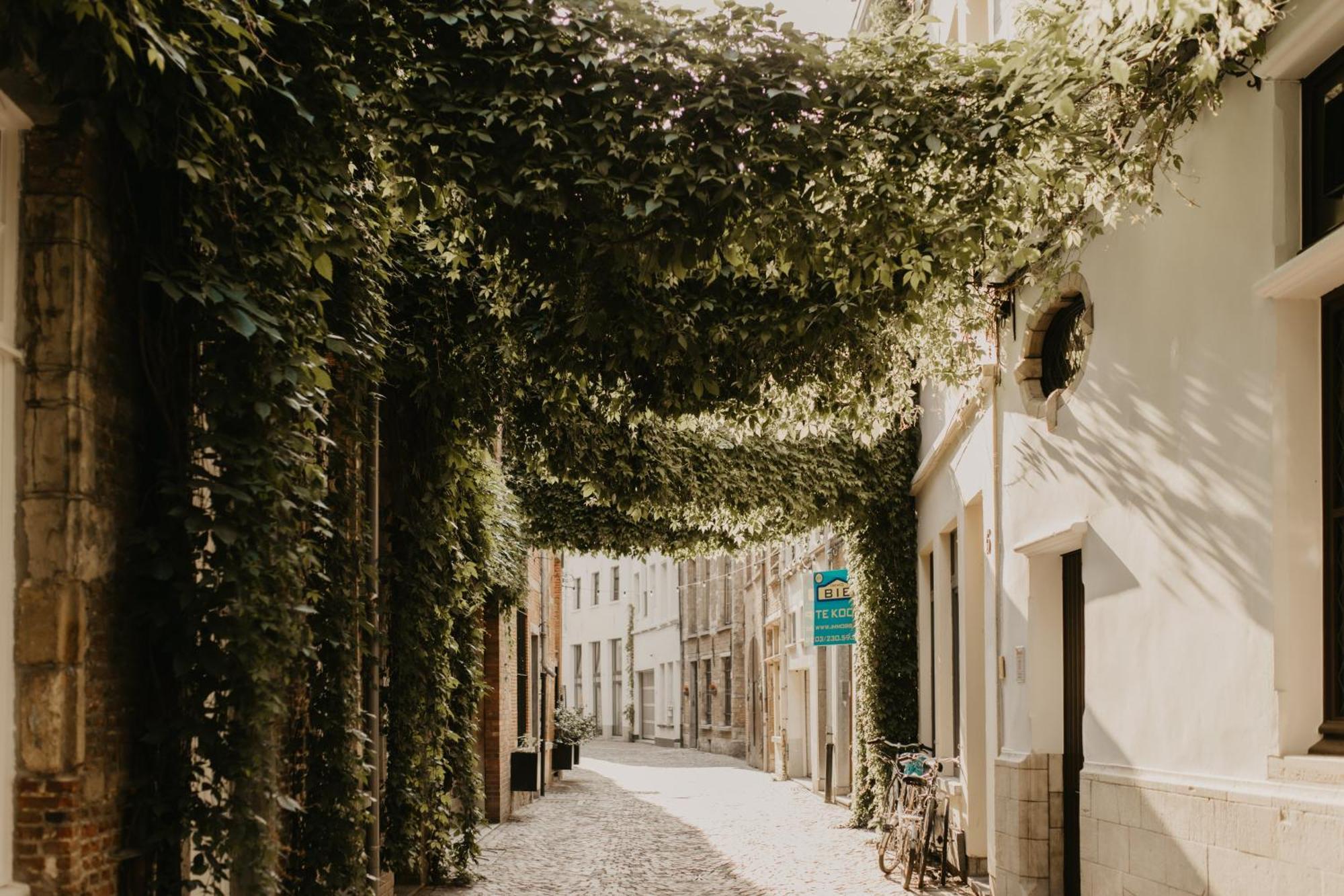 Blue Bird Residence Suite Moriaan Antwerpia Zewnętrze zdjęcie